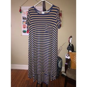 Striped LulaRoe Carly Dress